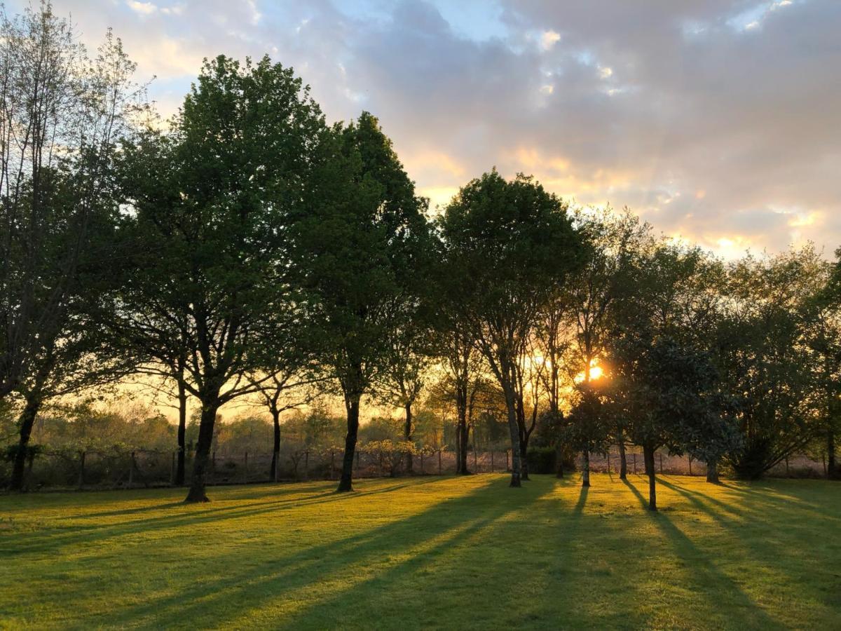 La Bergerie Des Landes Villa ลิต์-เอต์-มิกซ์ ภายนอก รูปภาพ