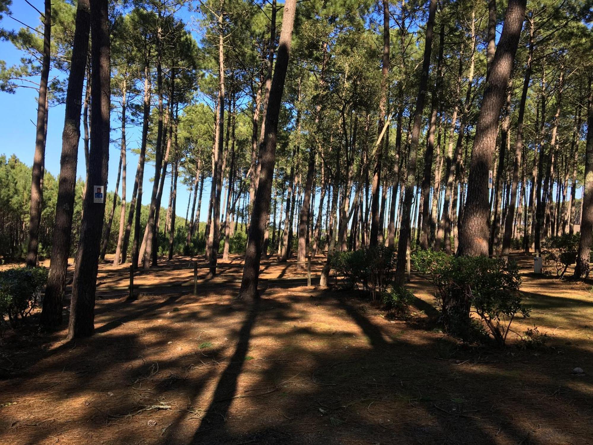 La Bergerie Des Landes Villa ลิต์-เอต์-มิกซ์ ภายนอก รูปภาพ