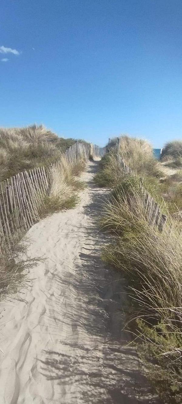 La Bergerie Des Landes Villa ลิต์-เอต์-มิกซ์ ภายนอก รูปภาพ